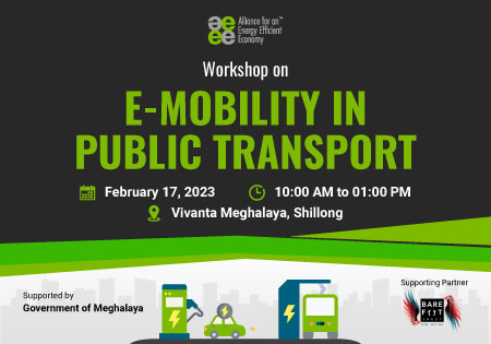 E-mobility in Public Transport