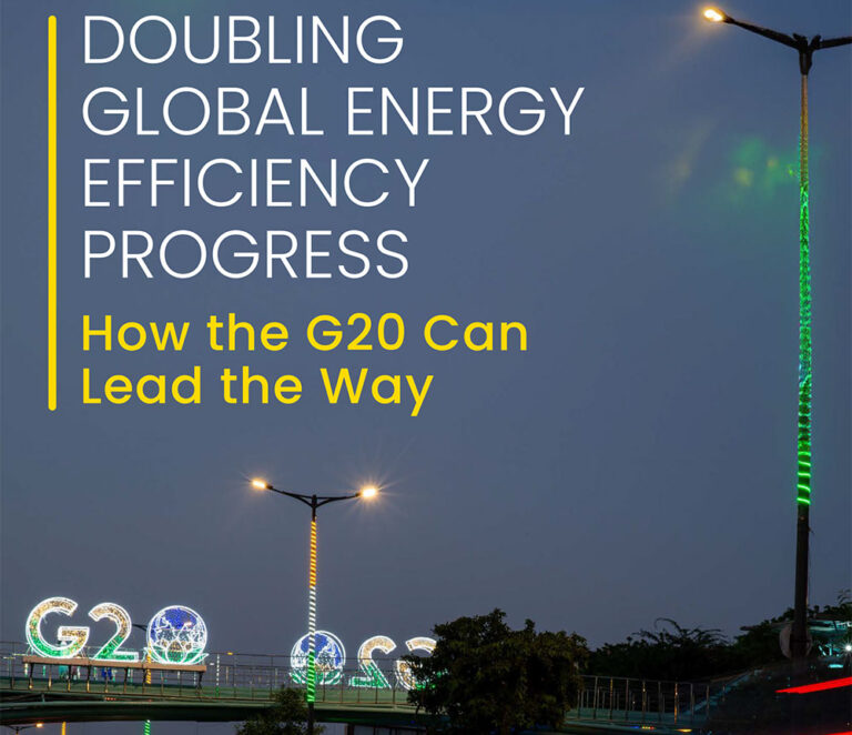 Doubling Global Energy Efficiency Progress: How the G20 Can Lead the ...