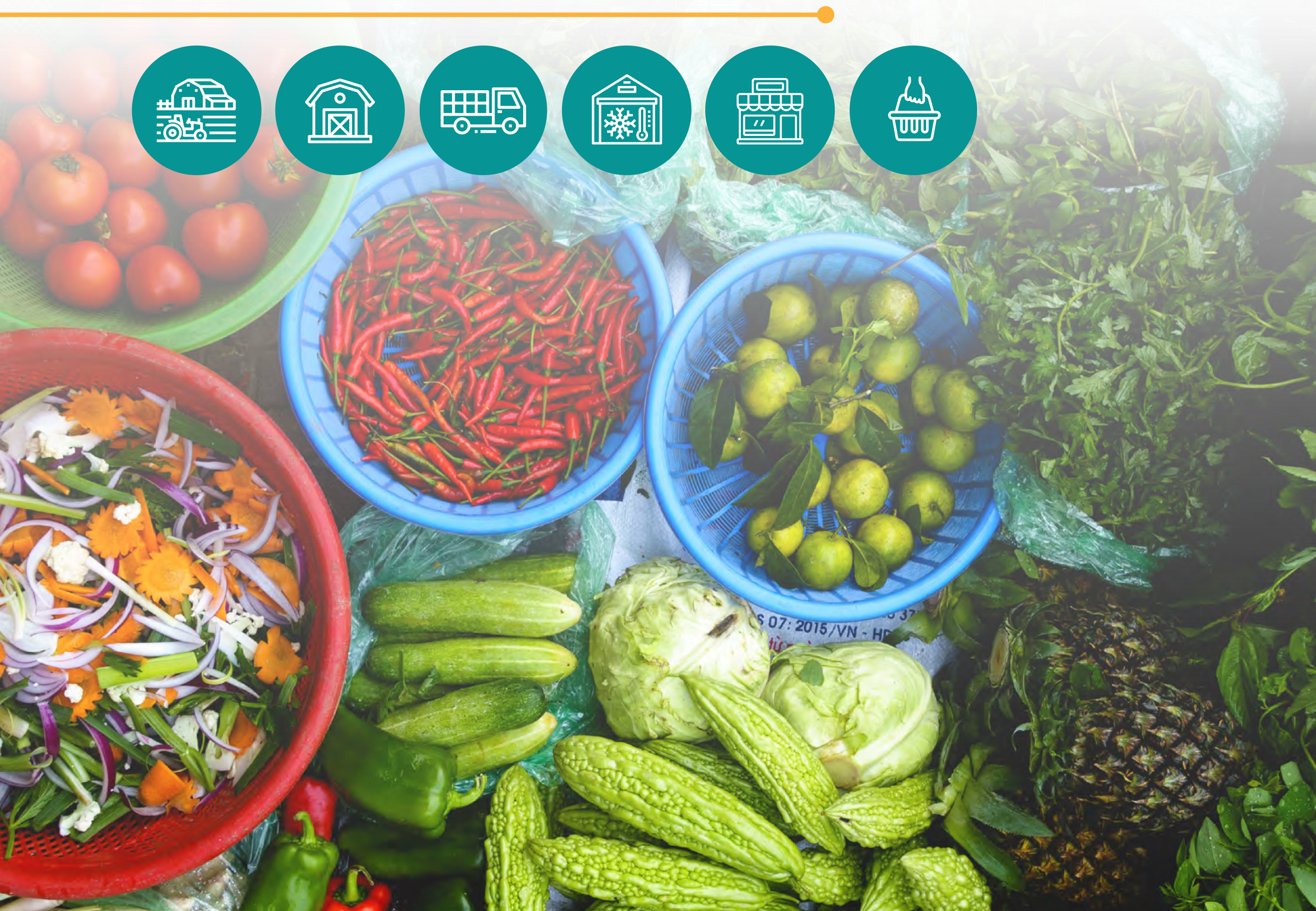 enabling-cold-chain-image